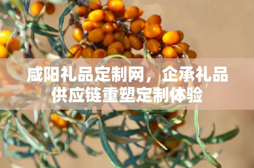 咸阳礼品定制网，企承礼品供应链重塑定制体验