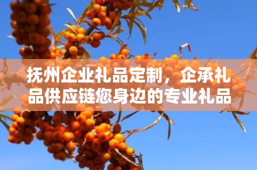 抚州企业礼品定制，企承礼品供应链您身边的专业礼品定制公司