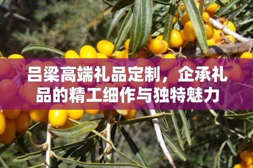 吕梁高端礼品定制，企承礼品的精工细作与独特魅力