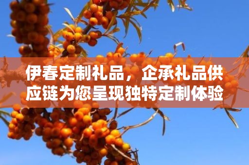 伊春定制礼品，企承礼品供应链为您呈现独特定制体验