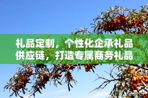 礼品定制，个性化企承礼品供应链，打造专属商务礼品体验