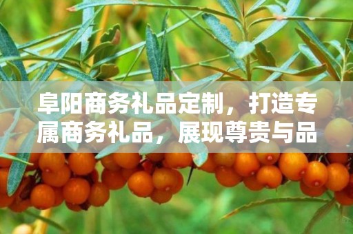 阜阳商务礼品定制，打造专属商务礼品，展现尊贵与品味